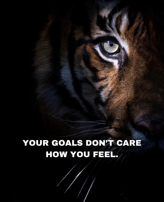 0d19f11b-6a67-4974-8f0b-ee8c6d76daa0