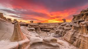 God Doesn’t Waste a Wilderness: Finding Purpose in Dry Seasons